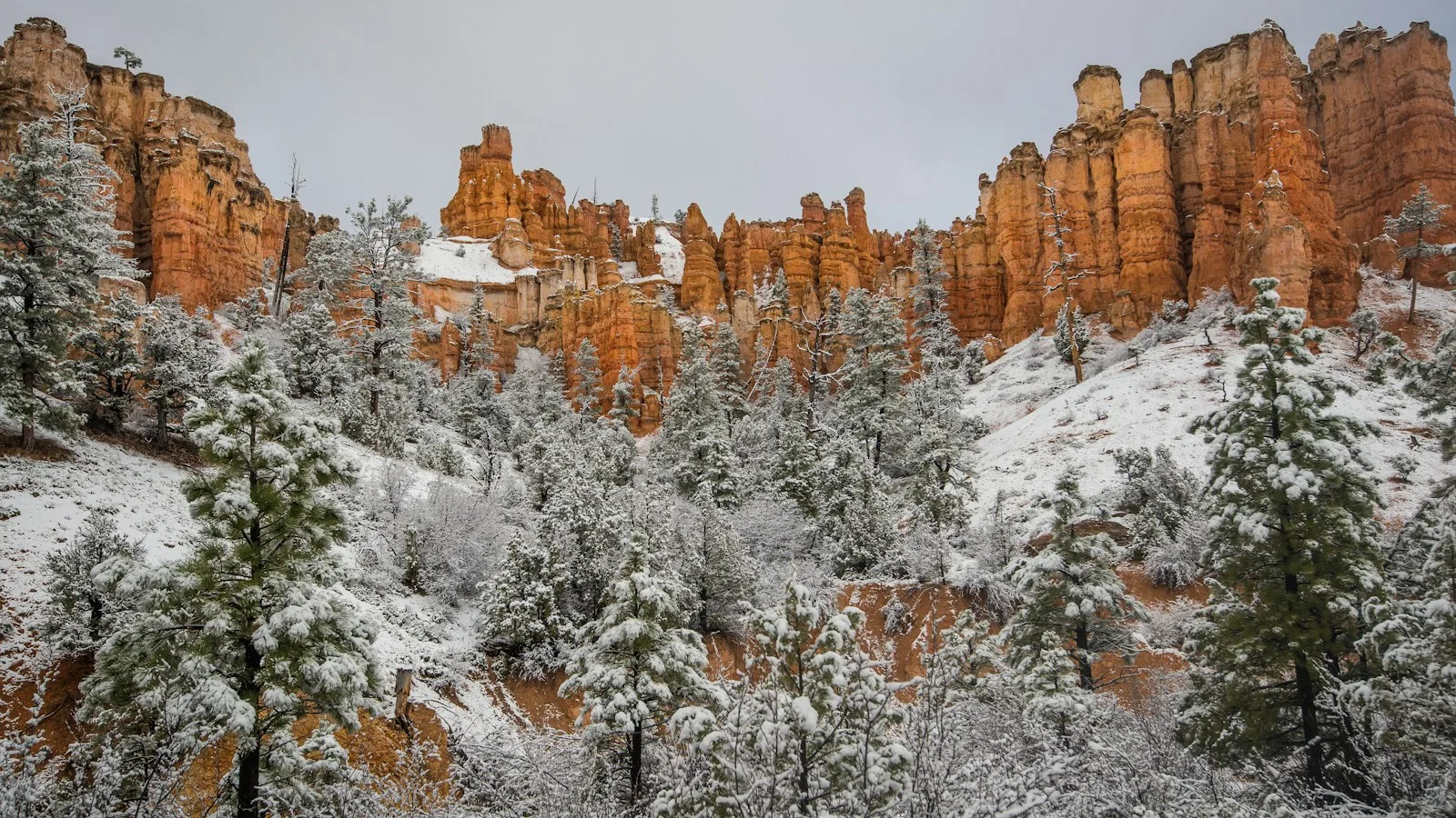 L'hiver (décembre à février) : désert doux, montagnes enneigées