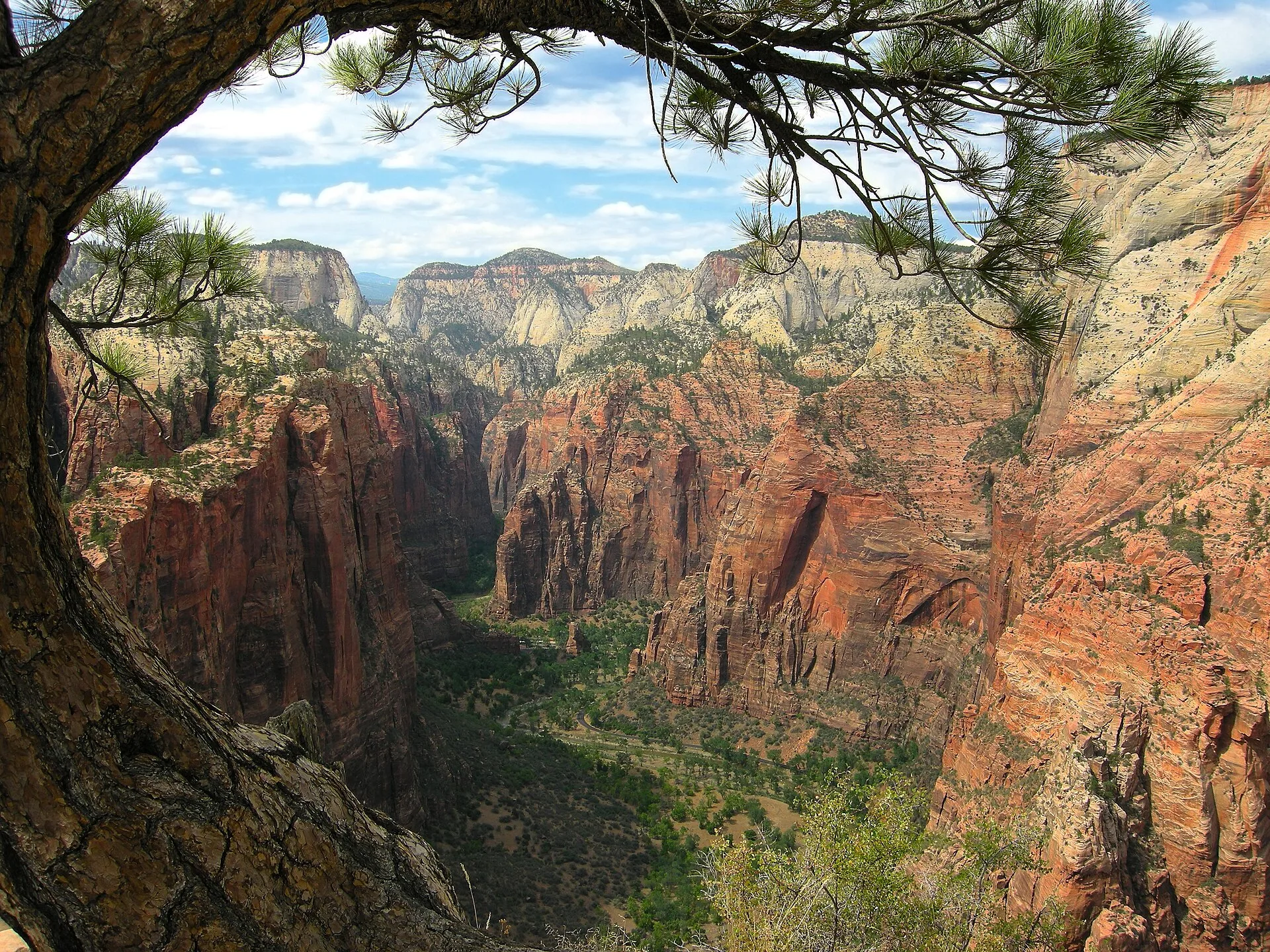 Jours 2 et 3 : Zion National Park